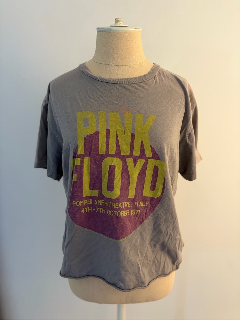 Retro Brand - Pink Floyd Short Sleeve Graphic Tee in Gray - Small